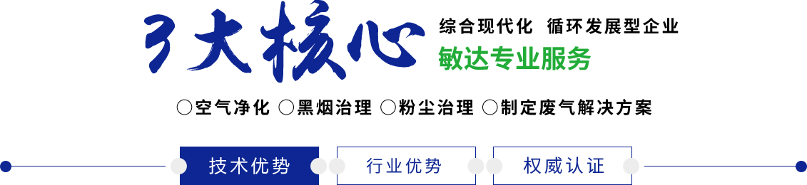 大鸡巴8K视频敏达环保科技（嘉兴）有限公司